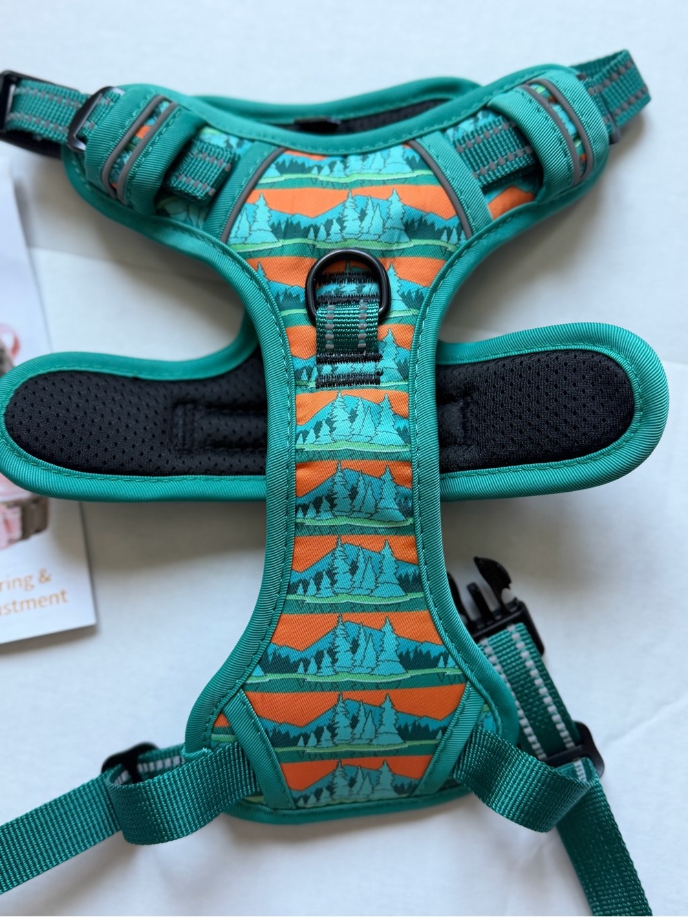 Teal & Orange Scenic Padded Dog Harness